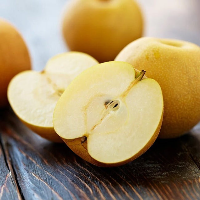 Nashi Pear Shinseiki Fruit Tree – Buy Now! – Ladybird Nursery