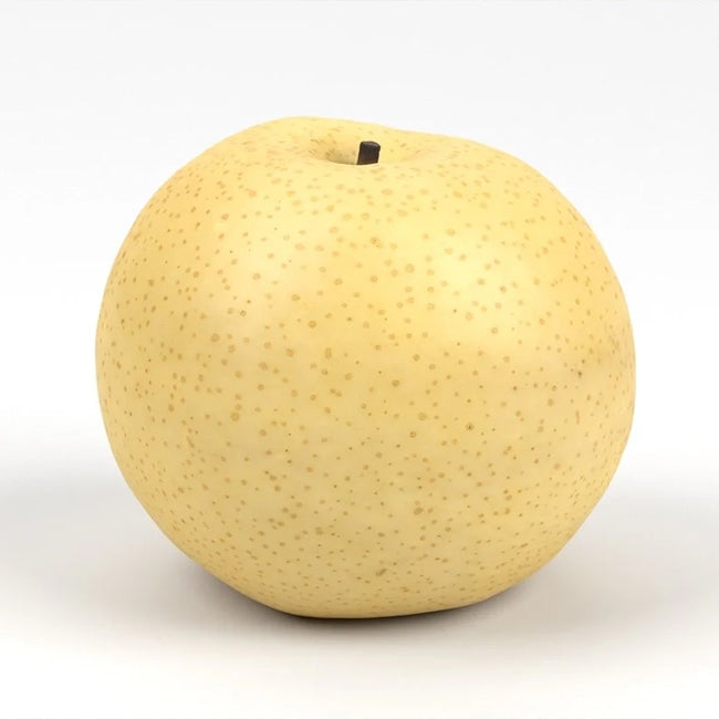 Nashi Pear Tropical Sunshu