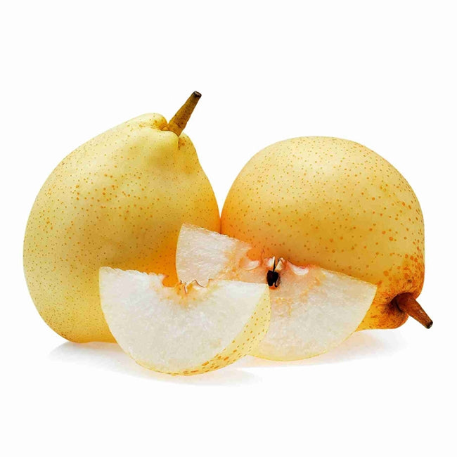 Nashi Pear Ya Li