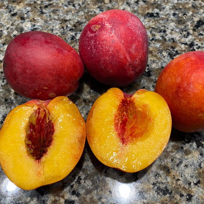 Nectarine Earliglo (PBR) - Ladybird Nursery