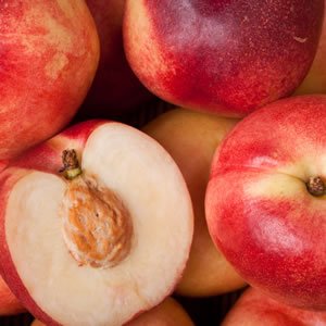 Dwarf Nectarine 'Goldmine' - Ladybird Nursery