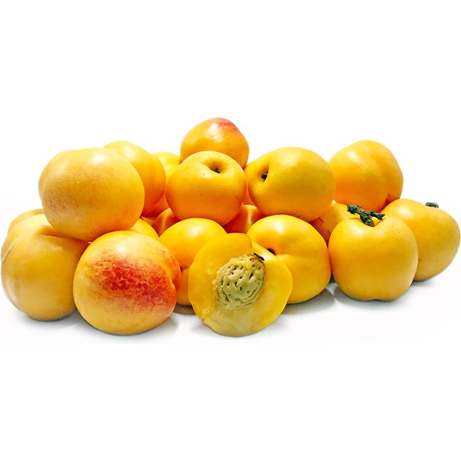 Nectarine TS Nectar - cot - Ladybird Nursery