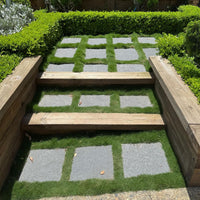 No Mow Grass (Zoysia tenuifolia) - Large - Ladybird Nursery