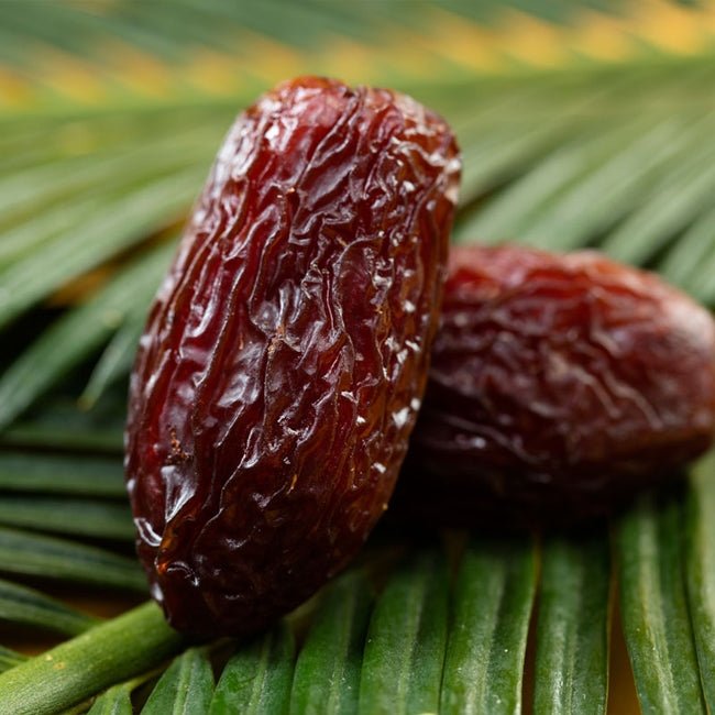 Palm Date Medjool - Ladybird Nursery