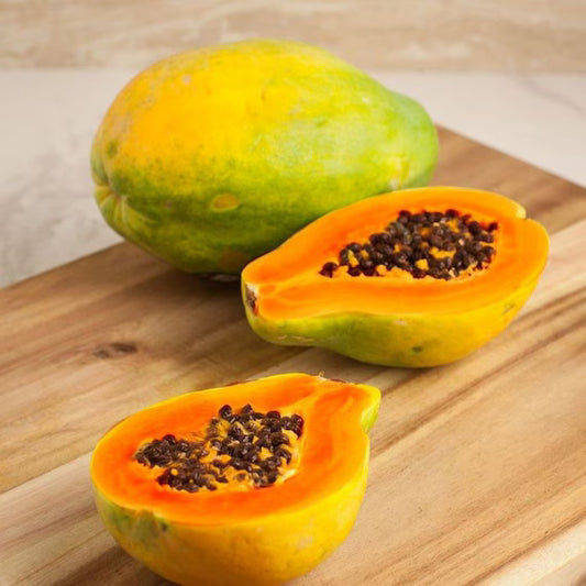Papaya 'Sunrise Solo' (QLD Only)