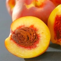 Peach Double Jewel (TM) cv. Zaiwel - Ladybird Nursery