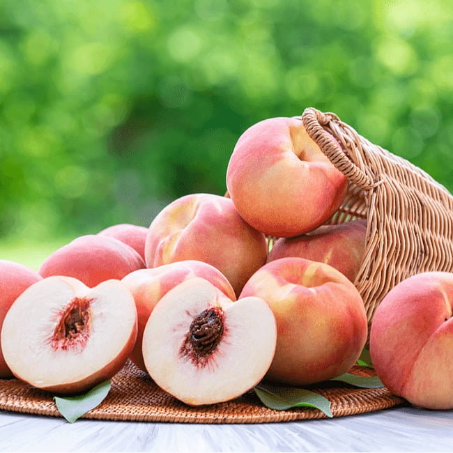 Peach Okinawa - Ladybird Nursery