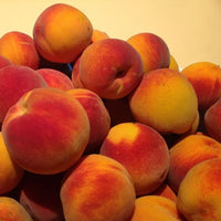 Dwarf Peacharine