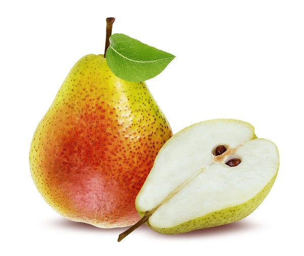 Pear Corella (Pyrus communis)