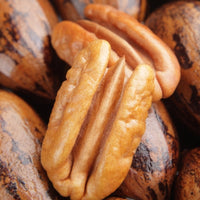 Pecan Cape Fear Grafted (A)