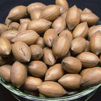 Pecan Cherokee (A) SP