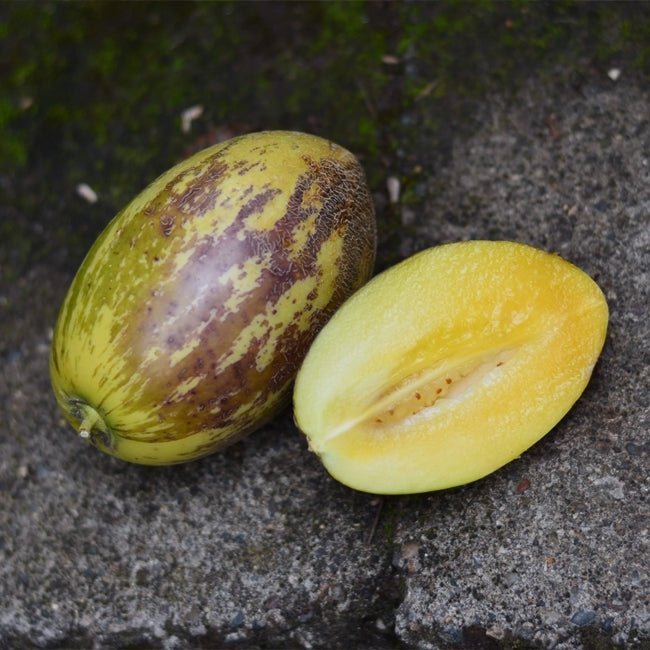 Pepino Kendall Gold - Ladybird Nursery
