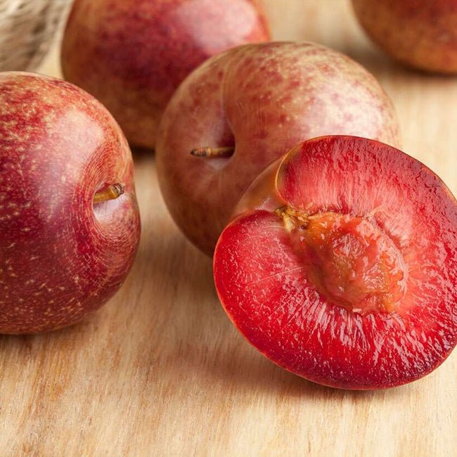 Plumcott 'Flavour Supreme' - Ladybird Nursery