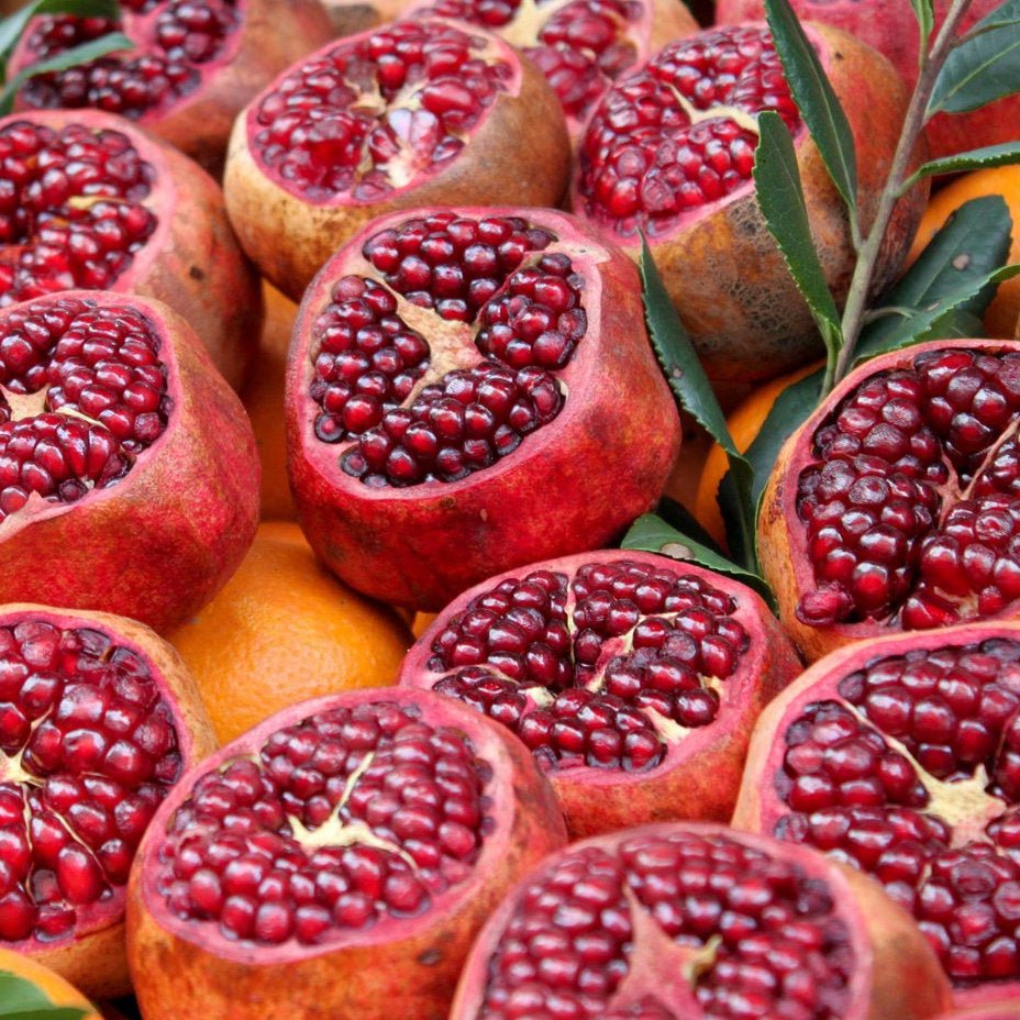 Pomegranate 'Gulosha Azerbaijani' - Advanced - Ladybird Nursery