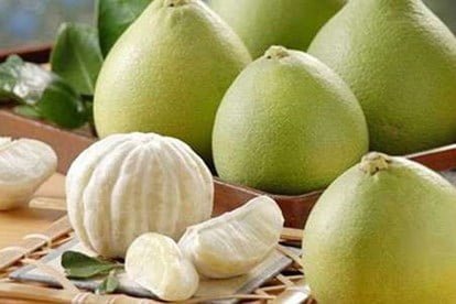 Dwarf Nam Roi Pomelo (QLD Only) - Ladybird Nursery