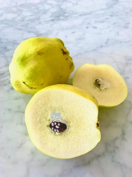 Quince 'Pineapple' Large