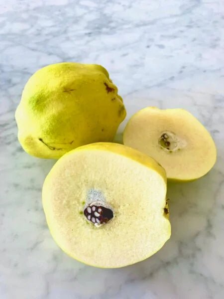 Quince 'Pineapple' Large - Ladybird Nursery