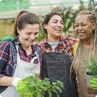 Share Your Garden Story