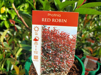 Red Robin hedging