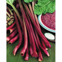 Rhubarb 'Crimson Crumble' (Rheum x hybridum)