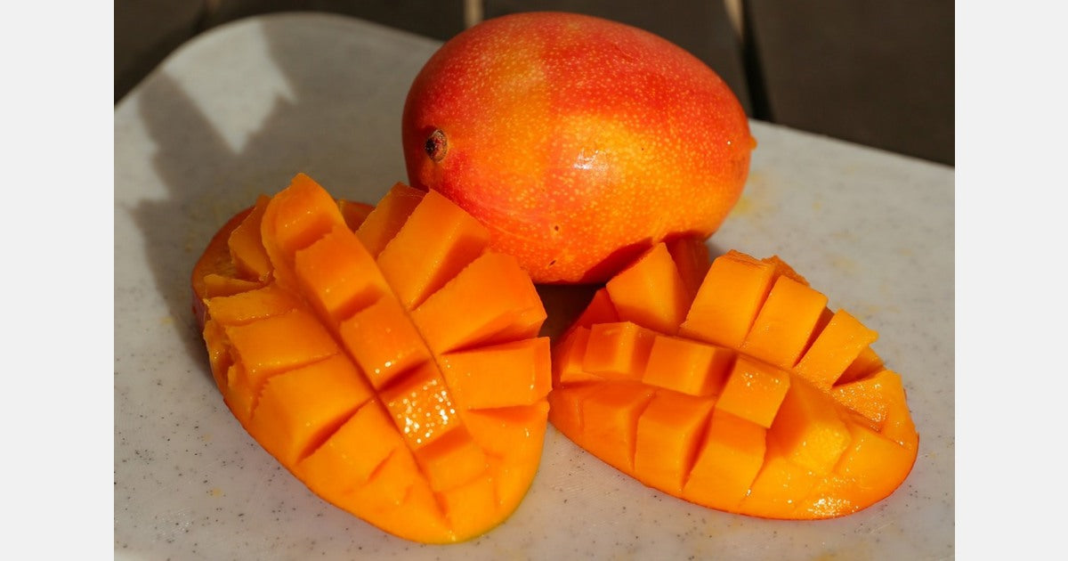 Rubropetala Mango (Dwarf)