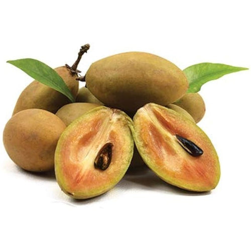 Sapodilla BKD110 - Ladybird Nursery