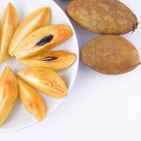 Sapodilla