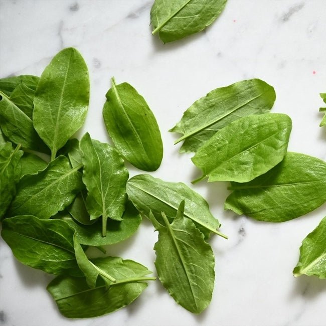 Sorrel French - Ladybird Nursery