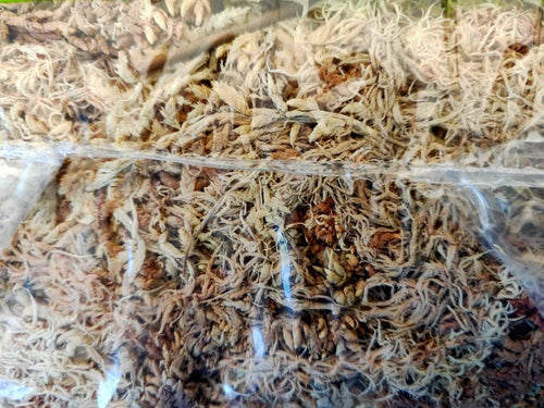 Sphagnum Moss 150g