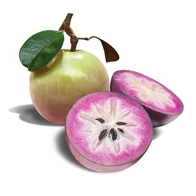 Star Apple Pink - Ladybird Nursery