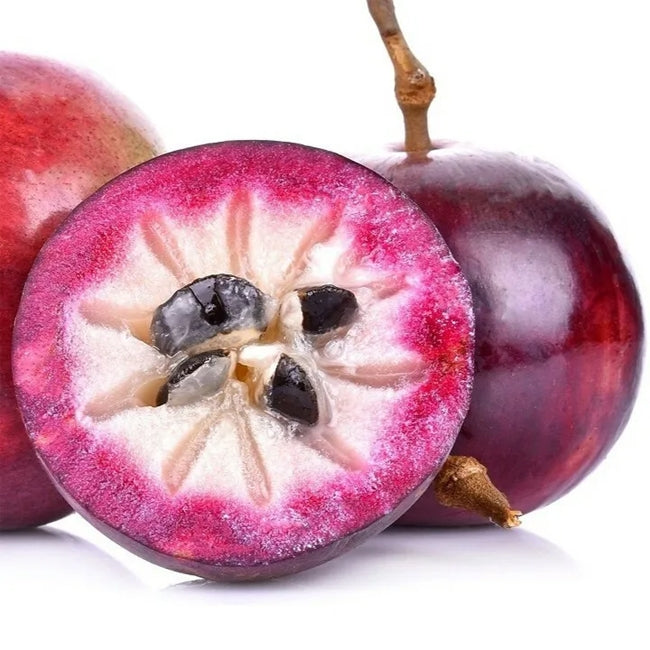 Star Apple Pink