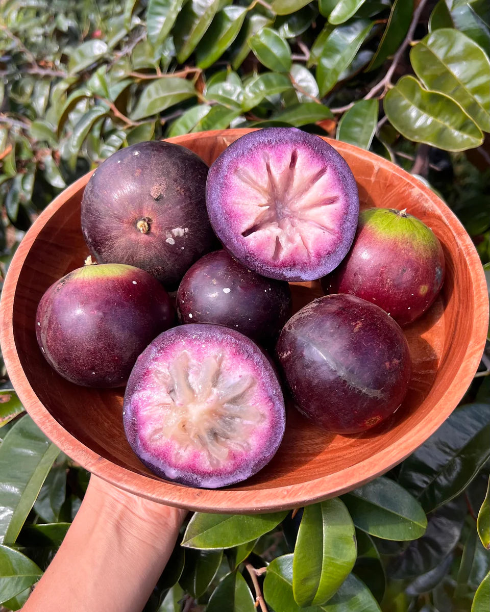 Star Apple ‘Tear Drop’