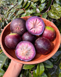 Star Apple ‘Tear Drop’