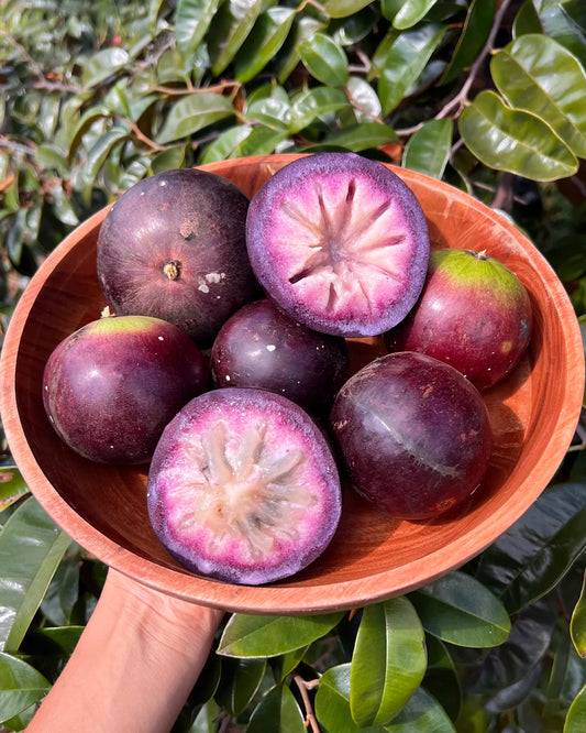 Star Apple ‘Tear Drop’