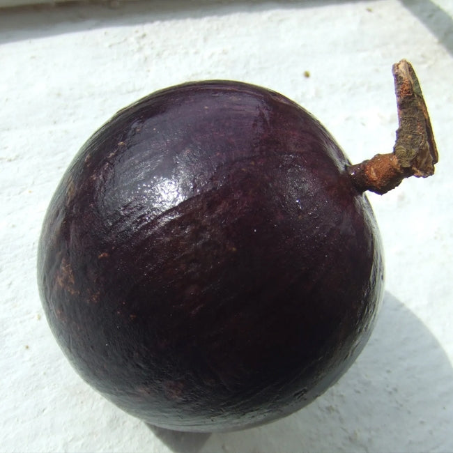 Star Apple