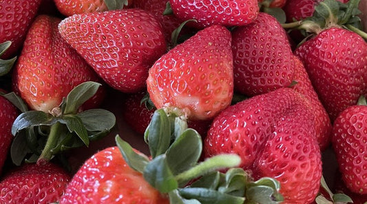 Strawberry 'Berrylicious' - Ladybird Nursery