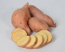 Sweet Potato ‘Treasure Island Makatea’ (Ipomoea) - Ladybird Nursery