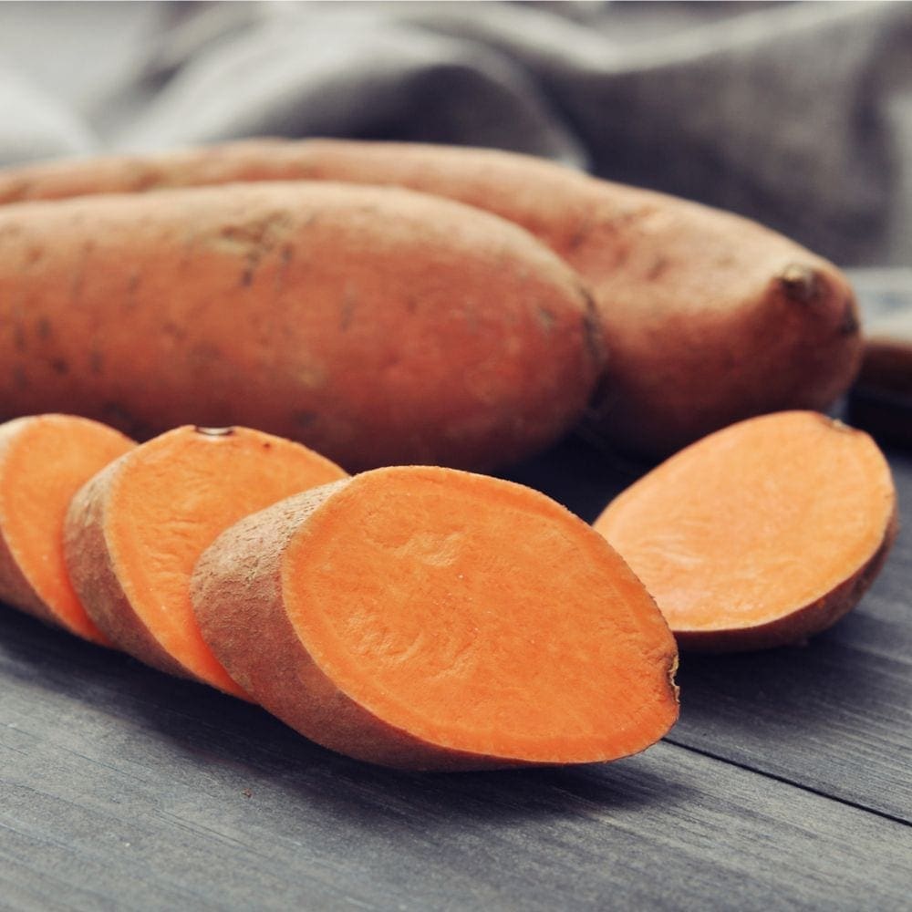 Sweet Potato 'Gold' - Ladybird Nursery