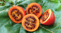 Tamarillo