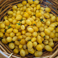 Tomato 'Barry's Crazy Cherry'