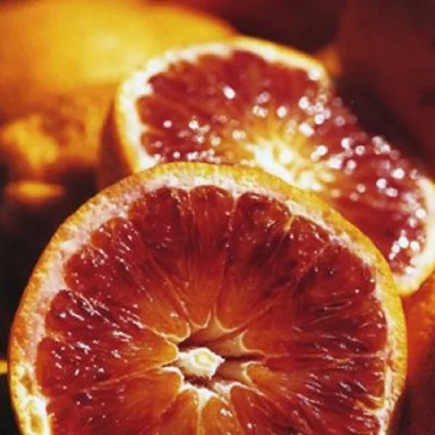 Orange Tarocco Blood Orange (QLD ONLY)
