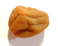 Ume (Prunus mume) - Ladybird Nursery