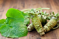 Wasabi 'Green Thumb' (Wasabia japonica)