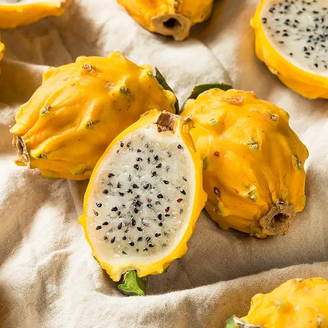 Dragonfruit 'Yellow'
