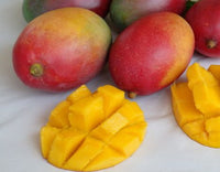 Dwarf Mango Bowen (a.k.a. Dwarf Alison Red) Tree