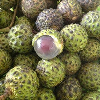 Alupag - Ladybird Nursery