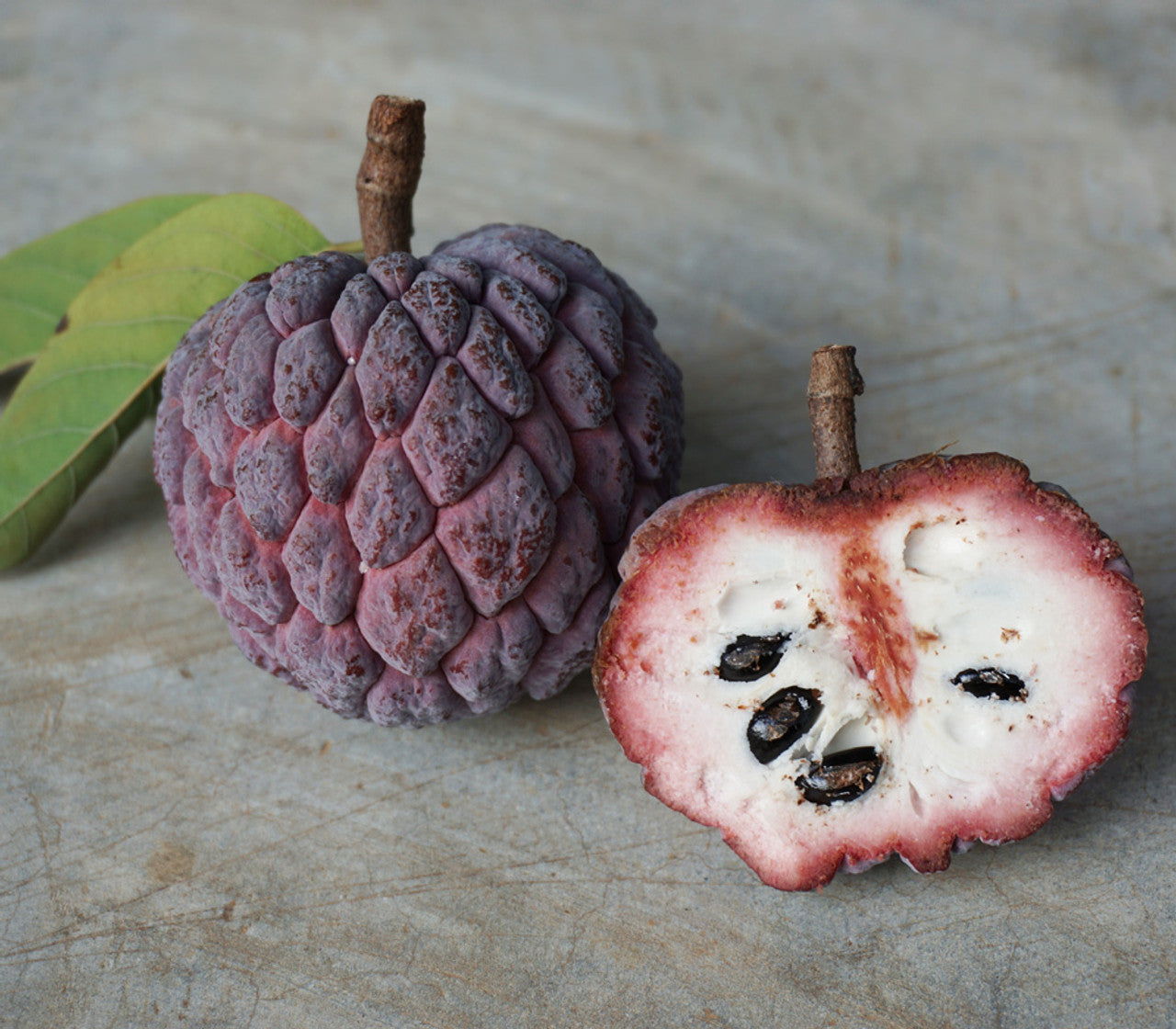 Purple Sugar Apple