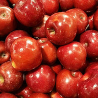 Apple Rome Beauty - Ladybird Nursery