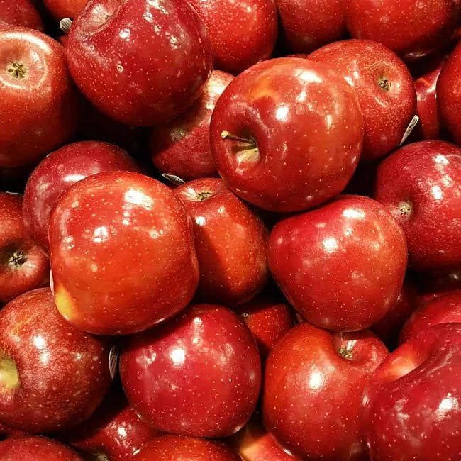 Apple Rome Beauty - Ladybird Nursery