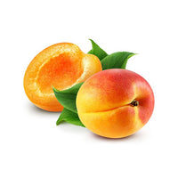 Apricot Bentley - Ladybird Nursery